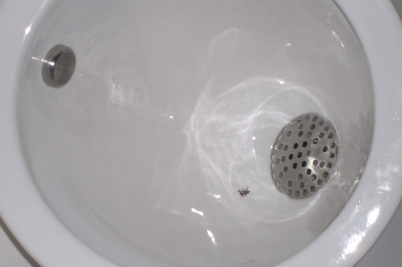 Toilet Water